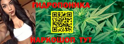 скорость Пугачёв